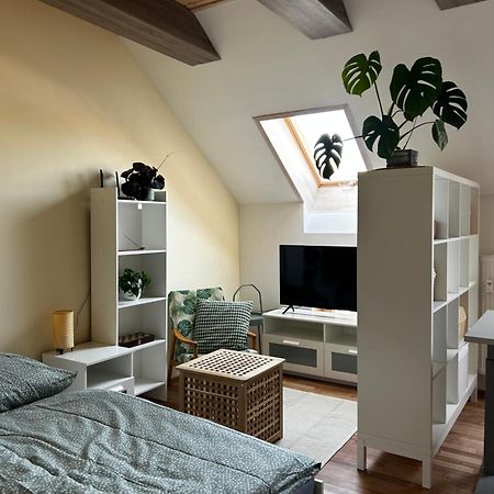 Utulny Apartman V Centre Kezmarku Kežmarok المظهر الخارجي الصورة